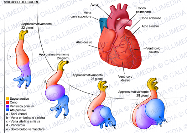 Primitivo. Mas, em evolução!!