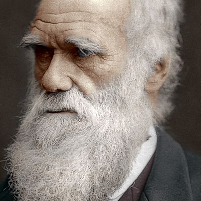Timeline: Charles Darwin (1809-1882)