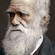 Charlesdarwin 5c2c3d7e46e0fb0001a343e3