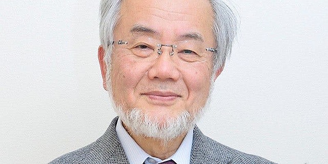 Yoshinori Ohsumi