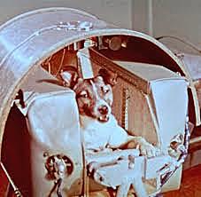 La gossa Laika orbita al voltant de la Terra
