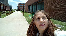 Timeline: Línea de tiempo de nuestros consumos culturales