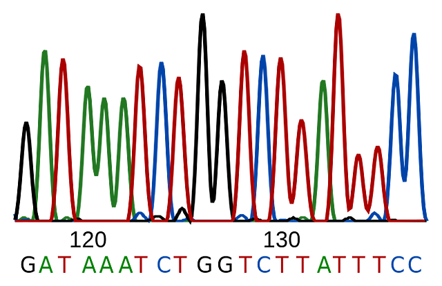 Lehen Gene sekuentzia