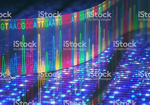 DNA lehen sekuentziazioa