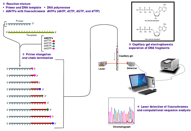 Nobel saria: Kimikan