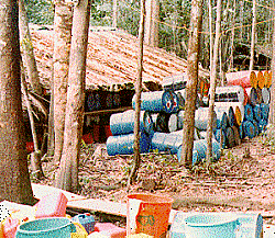 INICIOS DEL NARCOTRÁFICO