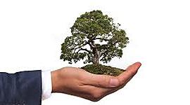 Timeline: educación ambiental