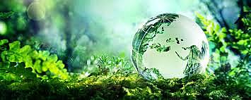 1982 Declaración de rió