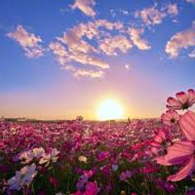 Timeline: LA BICICLETA   A TRAVÉS DEL TIEMPO