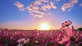 Timeline: LA BICICLETA   A TRAVÉS DEL TIEMPO