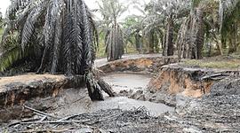 Timeline: Proceso de Exploración, explotación y Emergencia Ambiental ocurrida en 2018 en el Pozo La Lizama.