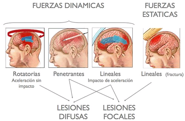 Revista Chilena de Neurocirugía
