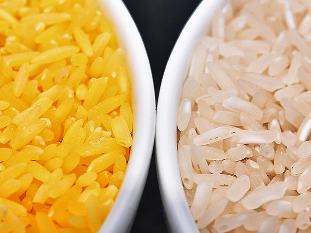 Development of Golden Rice (1982 to 1999).The purpose of Golden Rice was to provide a dietary source of beta- carotene (a precursor of vitamin A) to people in areas where vitamin A deficiency was common.