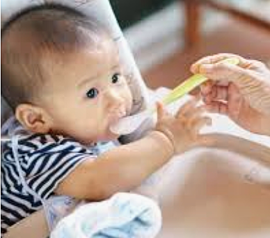 Milestone 1 - Physical Development