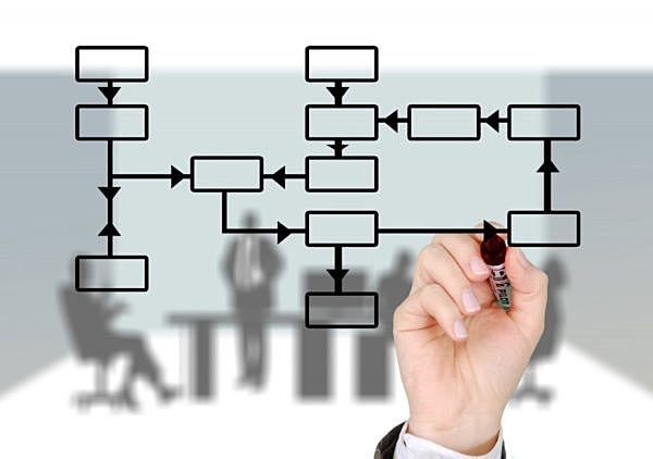 Tipos de organizaciones
