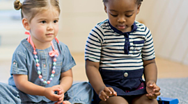 Timeline: Toddler Timeline