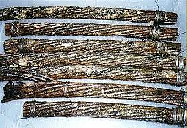 Fleeming Jenkin's earing his M.A