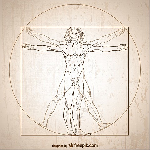 El hombre y el movimiento en el Renacimiento