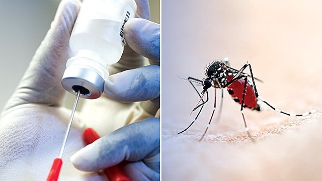 RTS,S Malaria vaccine  Project:Aims to trigger the immune system to defend against the initial stages of malaria when the parasite Plasmodium falciparum enters the bloodstream of the human host through a mosquito bite and infects the liver cells.