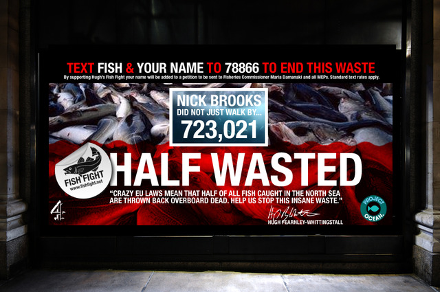 Fish Fight window at Selfridges