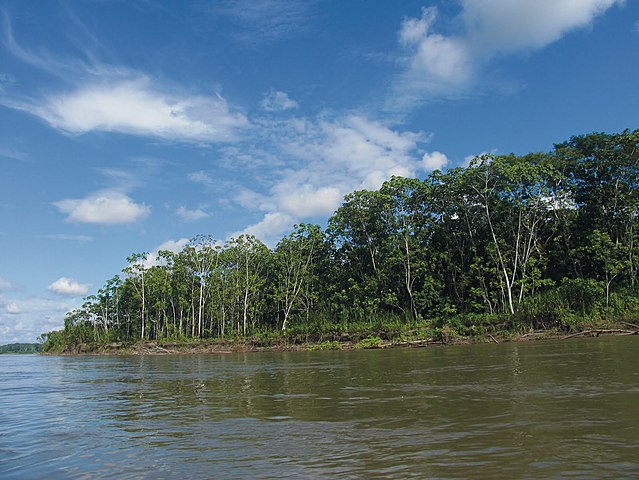 Fin de la iniciativa ITT