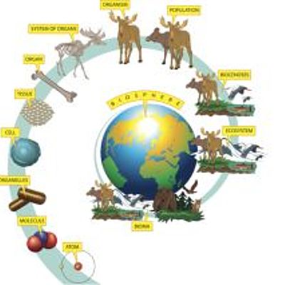 Timeline: Biology activities third quarter 2020