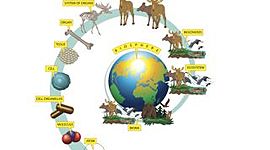 Timeline: Biology activities third quarter 2020
