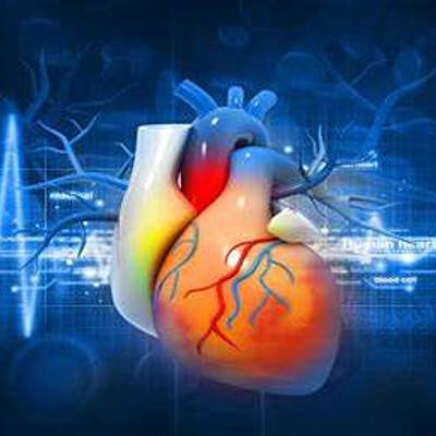 Timeline: Linha do Tempo. SISTEMA CARDIOVASCULAR