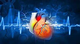 Timeline: Linha do Tempo. SISTEMA CARDIOVASCULAR