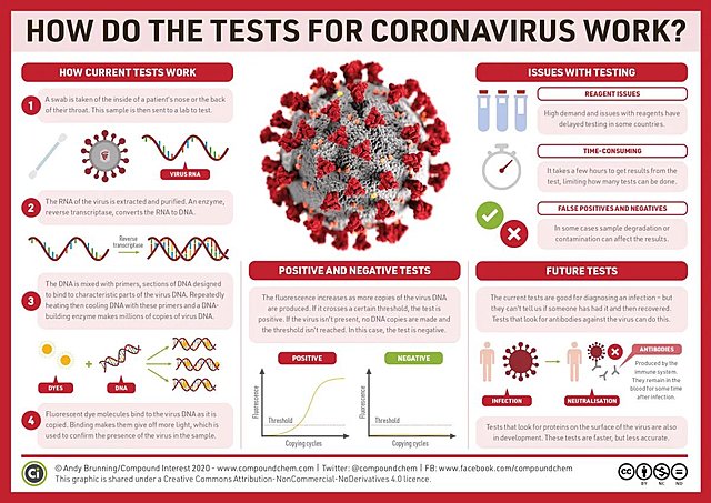 The different coronavirus tests