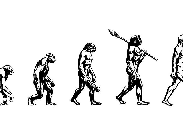 Theory of Evolution by Natural Selection