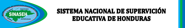 Estructura Organizativa del Sistema Nacional de Supervision.