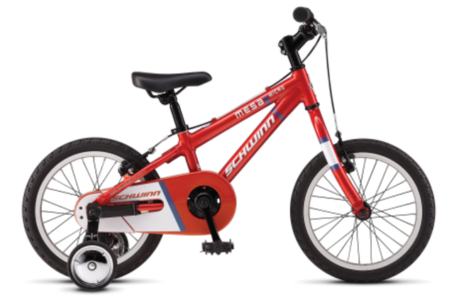 My brothers first bike