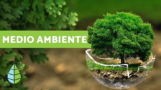 Formación de Medio Ambiente