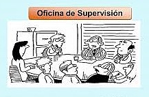 Organización de la sección de Supervisión