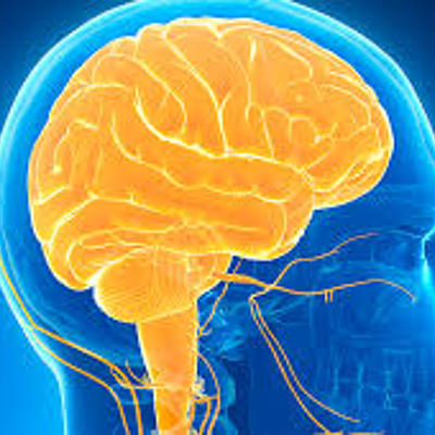 Timeline: Historia de la neurociencia