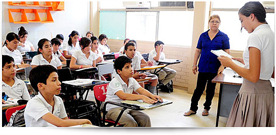 Funciones a docentes de educación primaria