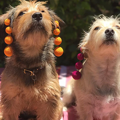 Timeline: 2019-2020 სასწავლო წელი