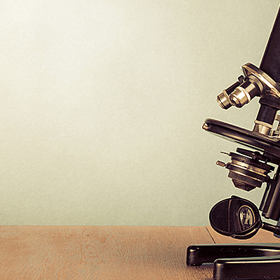 Timeline: 2019-2020 სასწავლო წელი