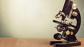 Timeline: 2019-2020 სასწავლო წელი