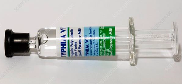Typhoid vaccine: the purpose of the project is to prevent typhoid fever which is caused by bacterium called 'salmonella typhi'