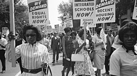 Timeline: Civil Rights Movement USA - Jane Harrer