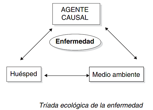Tríada ecológica