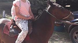 Timeline: Linea de tiempo de Isabella Diaz Biafore