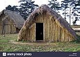 Anglo-Saxon houses invaded