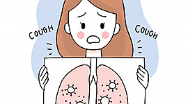 Timeline: Coronavirus En El Cuerpo