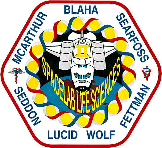 STS_58, the first in-flight use of the "Portable In-flight Landing Operations Trainer" simulation software