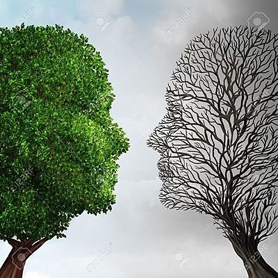 Timeline: IMPACTO AMBIENTAL EN COLOMBIA