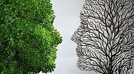 Timeline: IMPACTO AMBIENTAL EN COLOMBIA