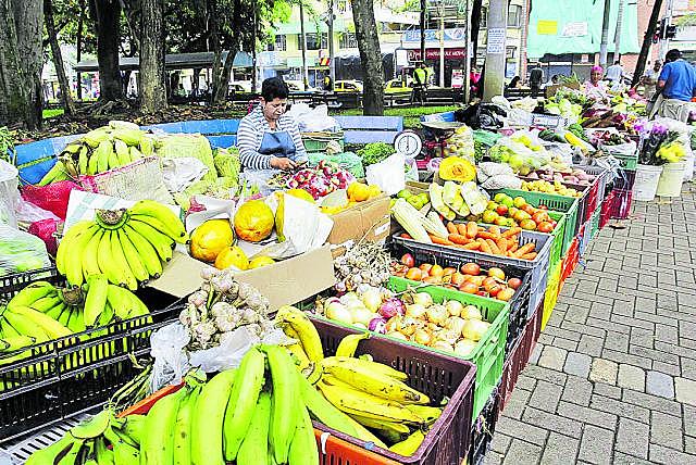 PRODUCCIÓN DE ALIMENTOS E IMPACTO AMBIENTAL